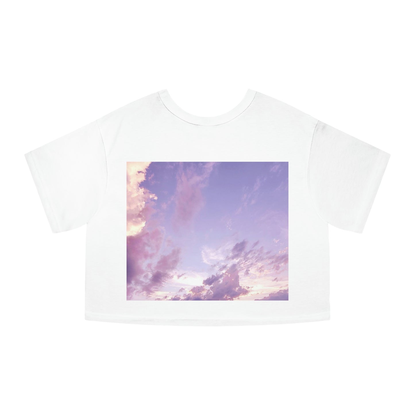 Subsequent Fabrics Cropped T-Shirt